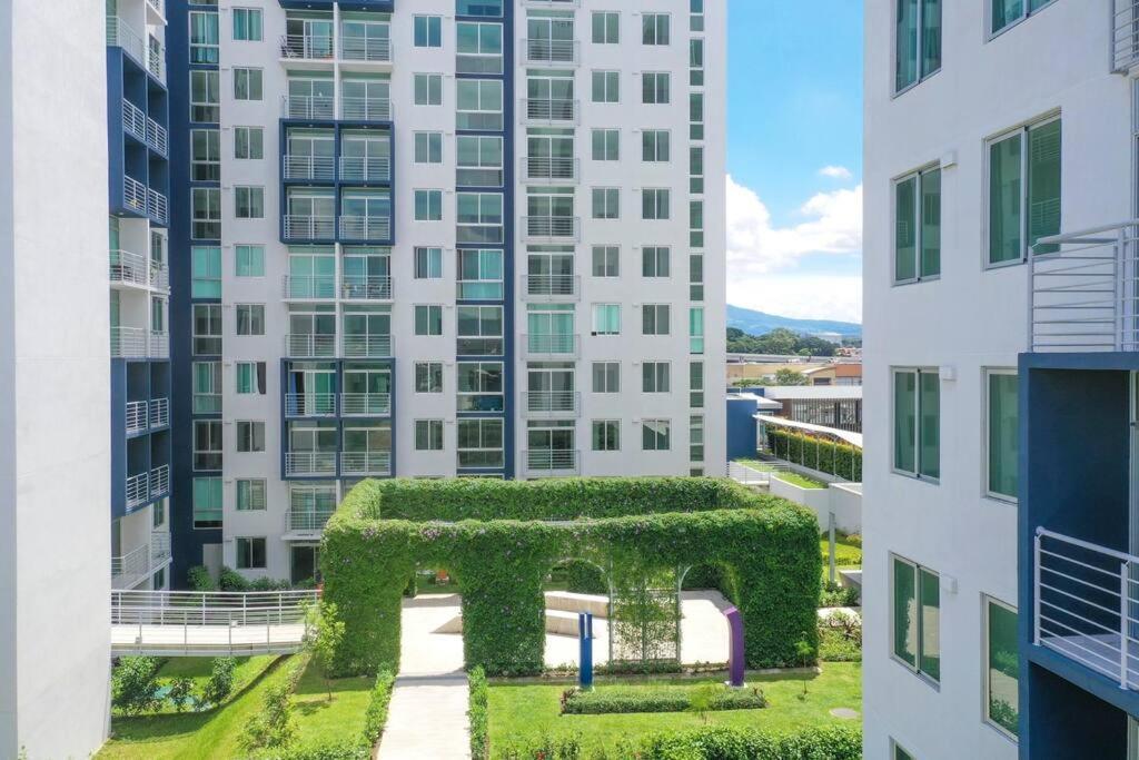 New Luxury Apartment 12Th Floor سان هوزيه المظهر الخارجي الصورة